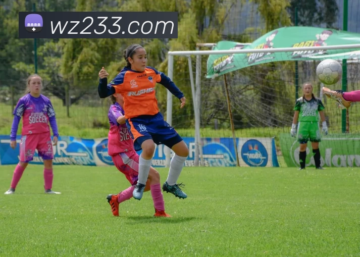 王者直播官网服务体系